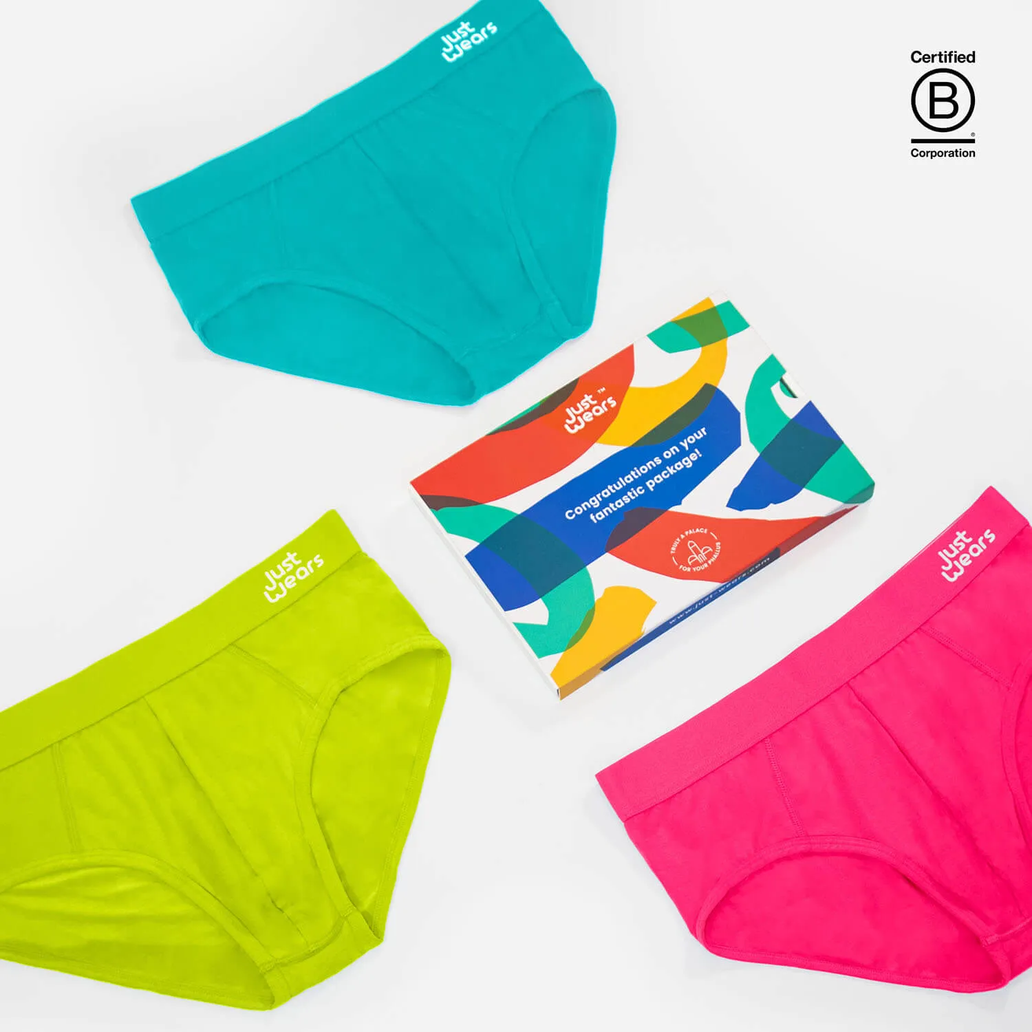 Briefs
