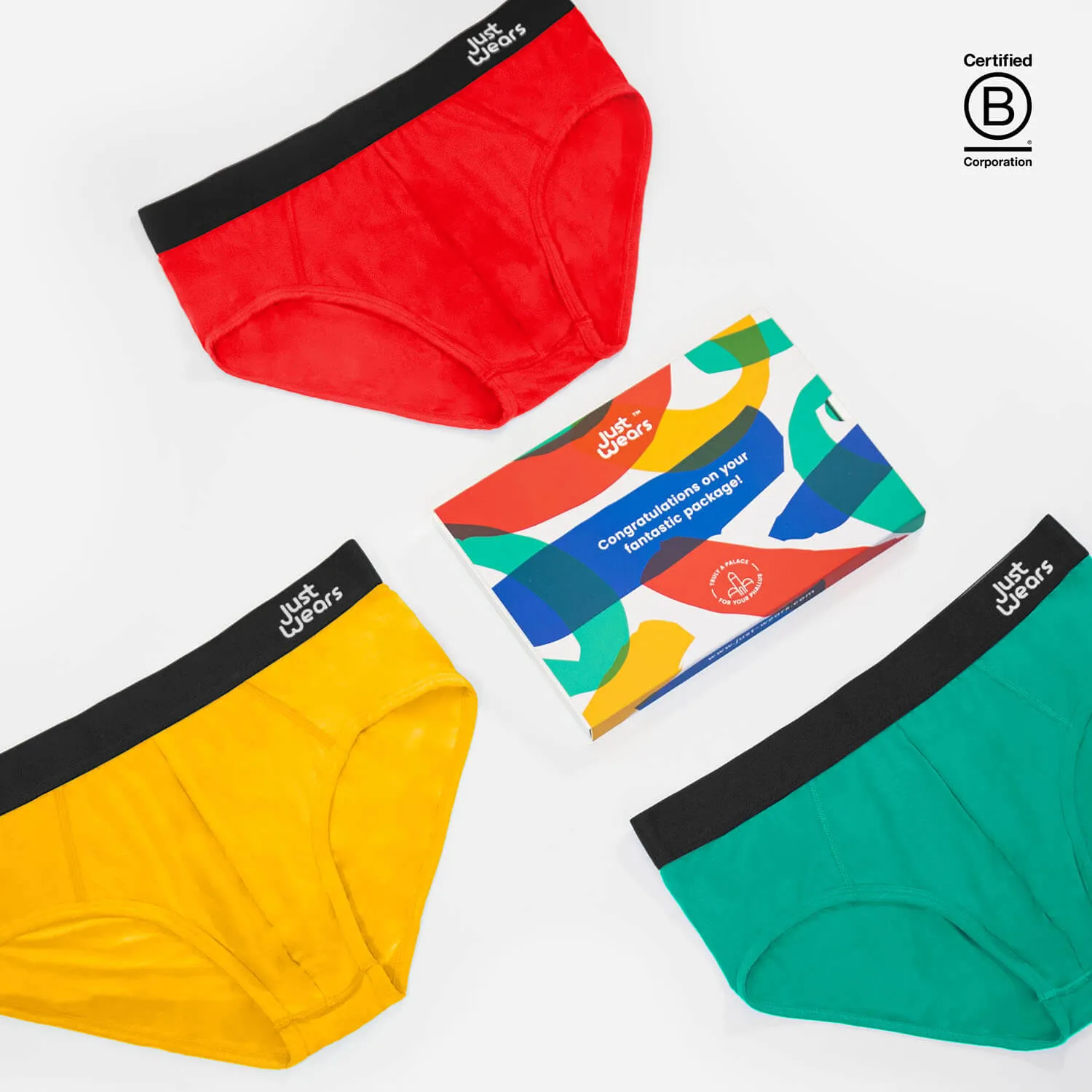 Briefs