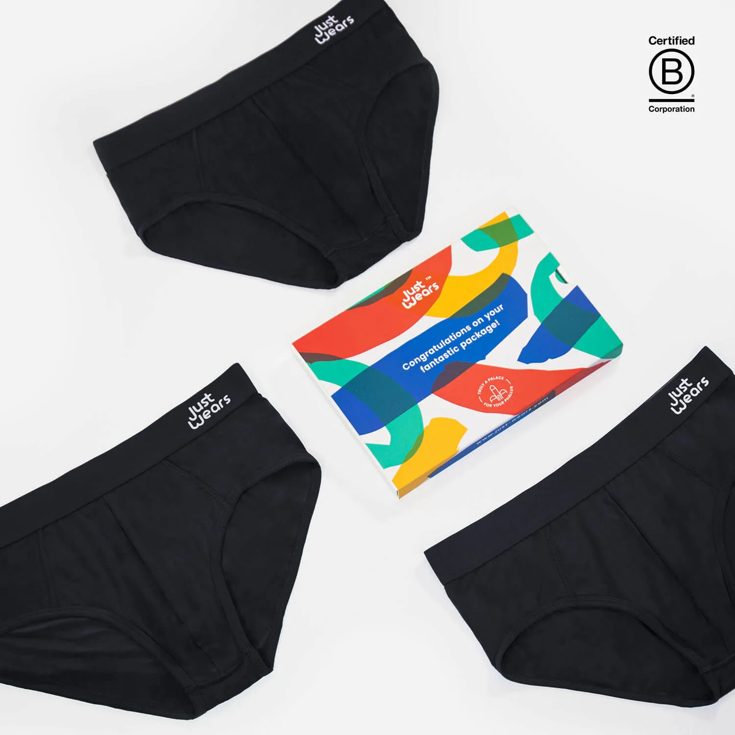 Briefs