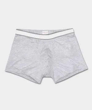 Derek Rose Ethan Silver Men's Boxer Briefs