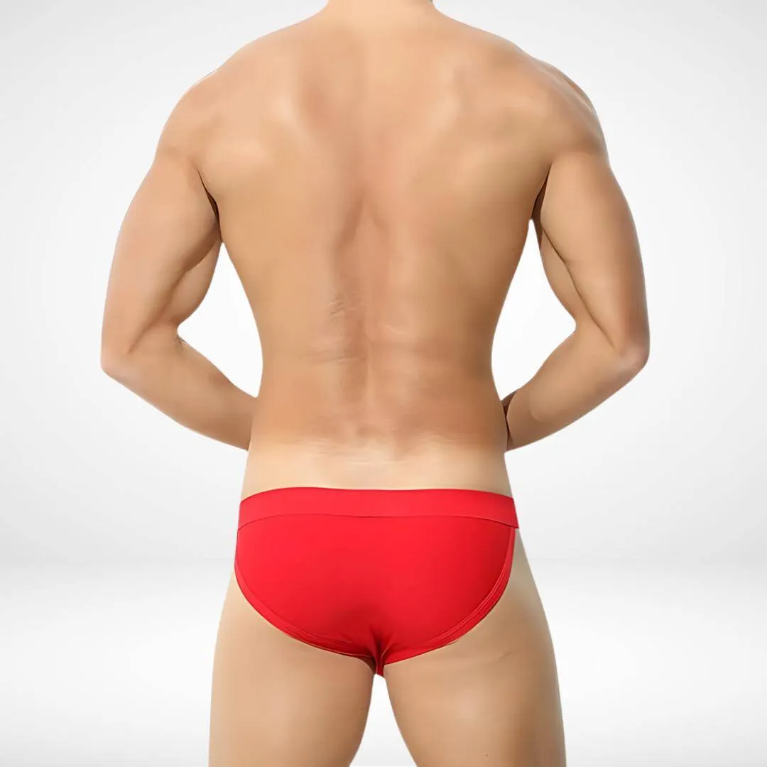Low Waist Ice Silk Vibrant Color Briefs