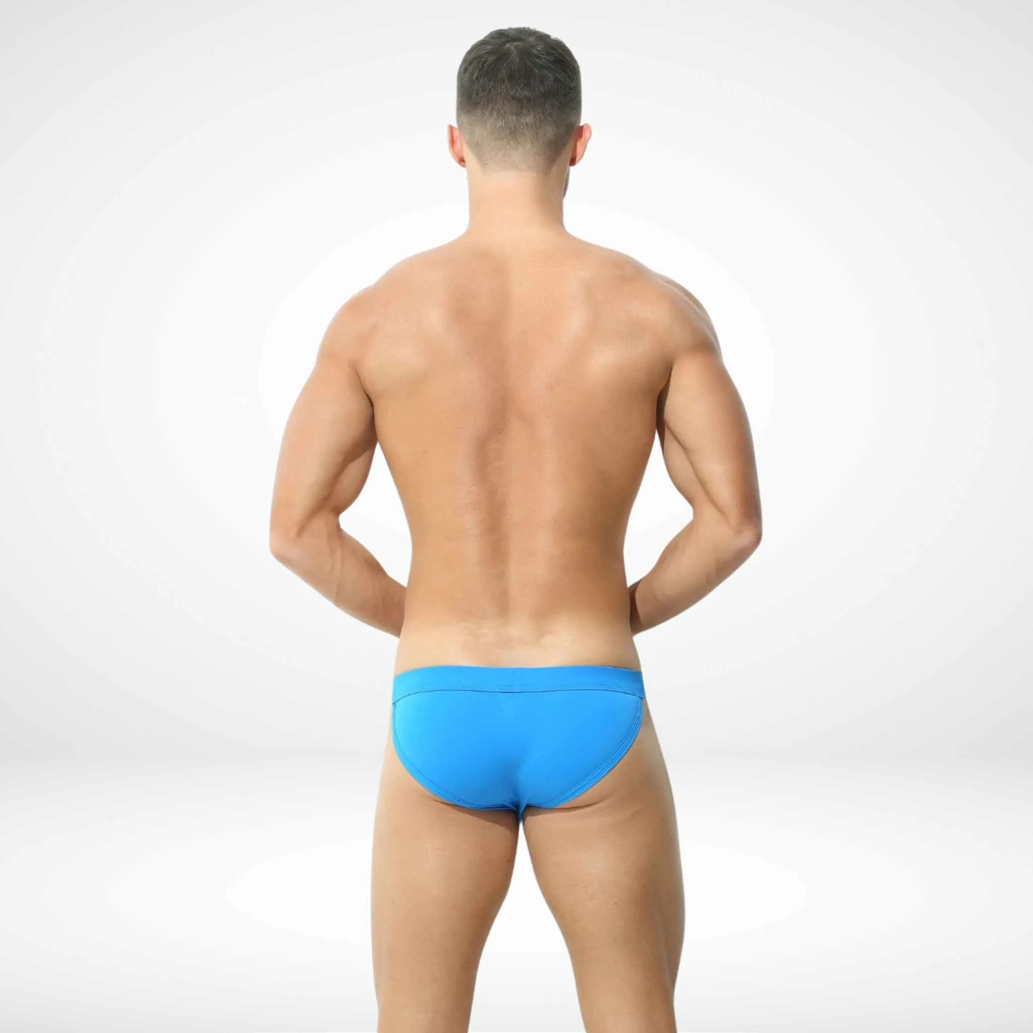 Low Waist Ice Silk Vibrant Color Briefs