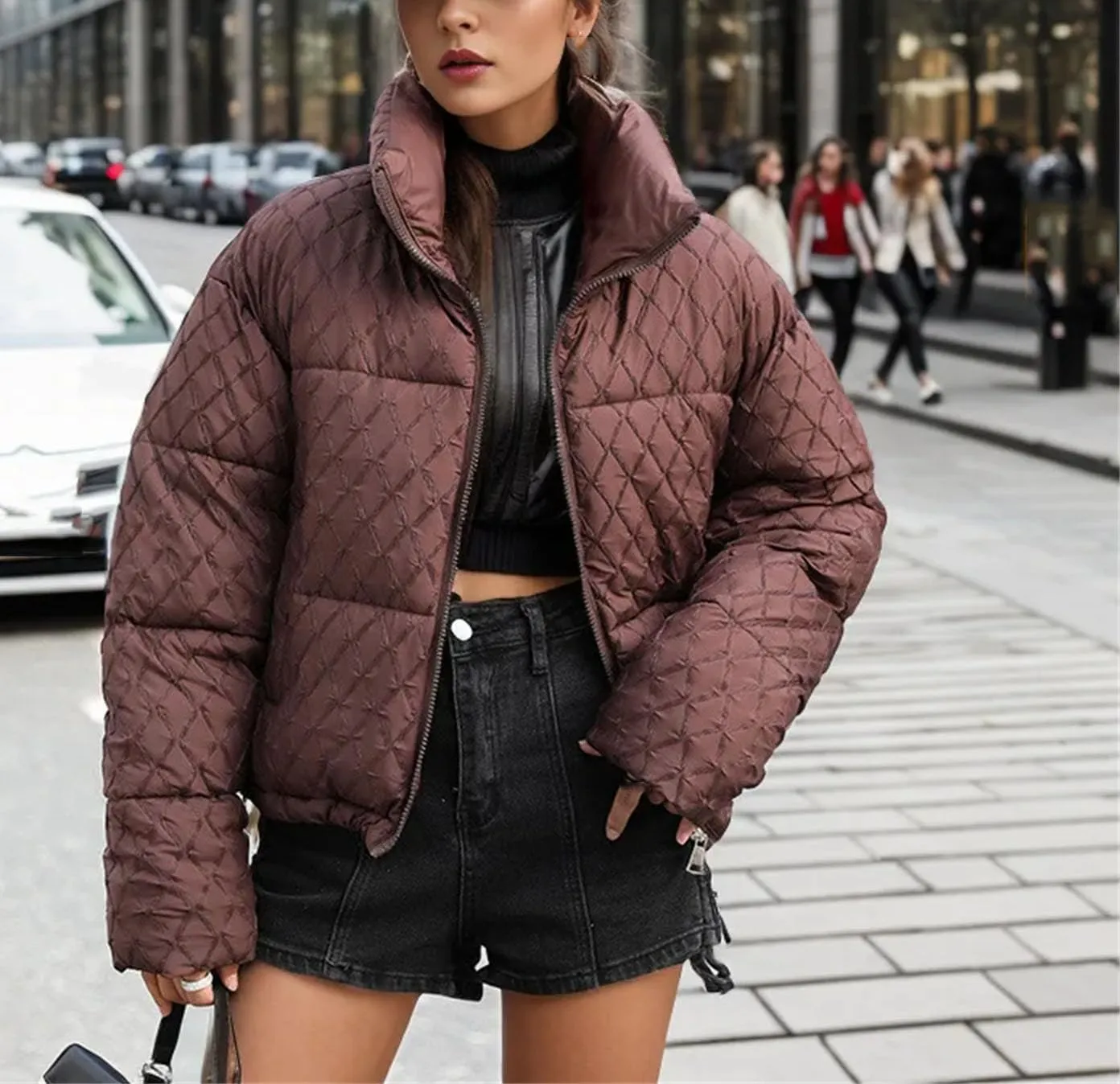Women's Zipper Stripes Short Parkas Coats Vintage Stand Collar Quilting Cotton-Padded Jacket